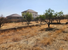 Masazır qəsəbəsi, Polad Həşimov küçəsi