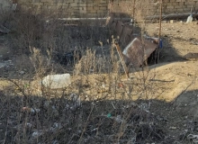 H.Z.Tağıyev küçəsi