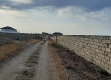 Novxanı qəsəbəsi, Sülh küçəsi