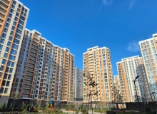 Müstəqillik küçəsi