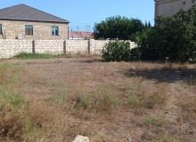 Buzovna