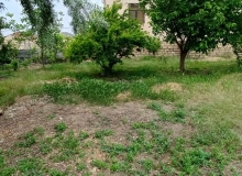Masazır