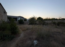 Buzovna