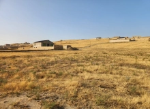 Novxanı, Nabat xanım Aşurbəyova küçəsi
