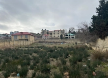 Novxani qesəbəsi