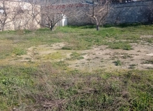 Mikayil Eliyev kucesi