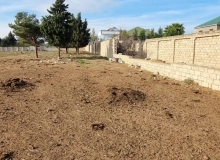 Buzovna