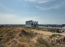 Nardaran