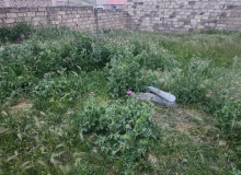 Novxanı