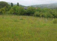 Sumqayıt