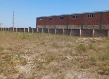 Buzovna
