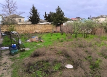 Masazır