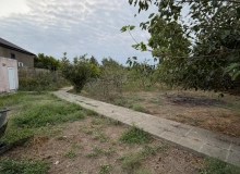 Şağan