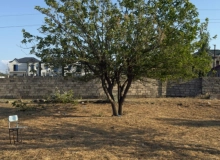 Səməd Vurğun küçəsi
