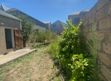 Masazır