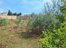 Novxanı