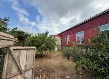 Masazır