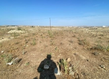 Masazır qəsəbəsi, Salahov Yəhya küçəsi