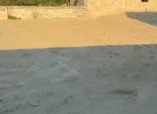 Saray qəsəbəsi