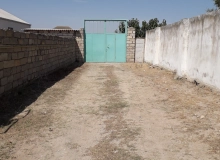 Bilgəh qəsəbəsi.    Zəfəran savxozu. Kənd Sovetinə, OBA Marketə və Orta məktəbə yaxın ərazidə.