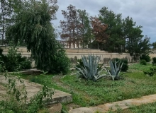 Buzovna qəsəbəsi
