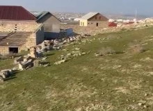 Atyalı qəsəbəsi