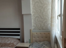 Ana bala parkı