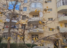 D. Bunyadzade kücəsi