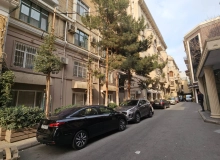 Bülbül pr.