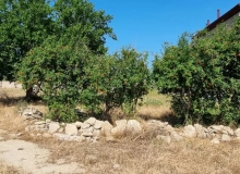 Buzovna