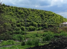 Quba rayonu