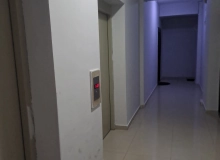 Yeni Günəşli D massivi