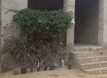 Nardaran qəsəbəsi