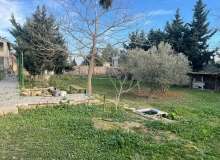 Buzovna qəsəbəsi, Albalılıq