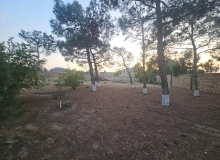 Şüvəlan qəsəbi
