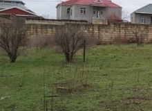 Saray qəsəbəsi