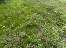 Məhəmmədli qəsəbəsi