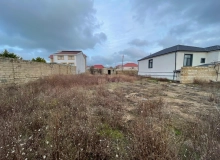 Buzovna