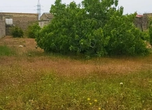 Buzovna qəsəbəsi