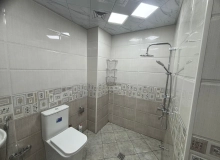 Memmed Emin Resulzade kucesi