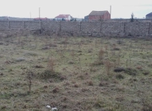 Buzovna