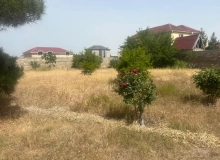 Buzovna qəsəbəsi