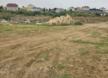 Saray