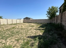 Buzovna qəsəbəsi, Albalılıq