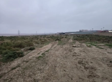 Masazır qəsəbəsi, Azadlıq küçəsi