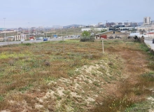 Masazır qəsəbəsi, Polad Həşimov küçəsi