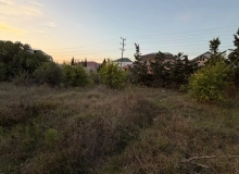 Merdekan qesebesi