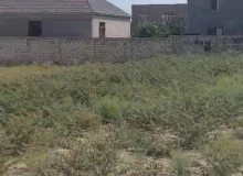 Masazır