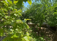 Maştağa