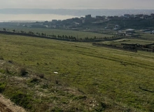 Novxanı qəsəbəsi, Sülh küçəsi